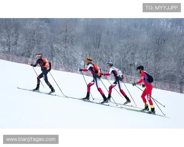 世界杯雪上滑雪技巧（滑雪登山世界杯）sports